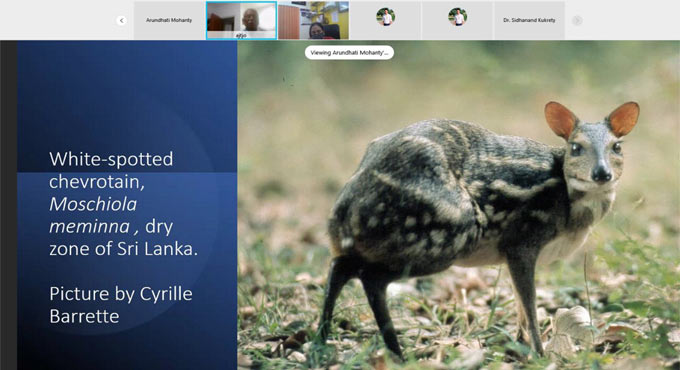 Hyderabad zoo hosts poster exhibition on Mouse Deer