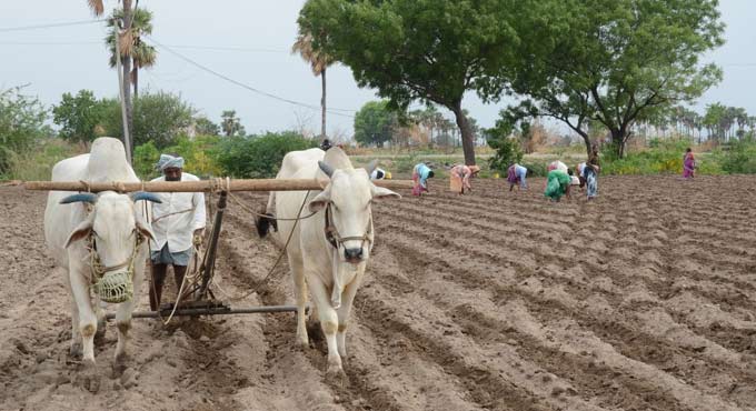 Second COVID-19 wave not to impact India’s agriculture sector: Niti Aayog