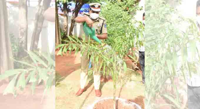 Rachakonda Commissioner Mahesh Bhagwat accepts Green India Challenge