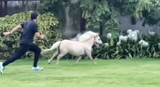 Watch: CSK skipper Dhoni ‘tests his fitness’ with a Shetland pony