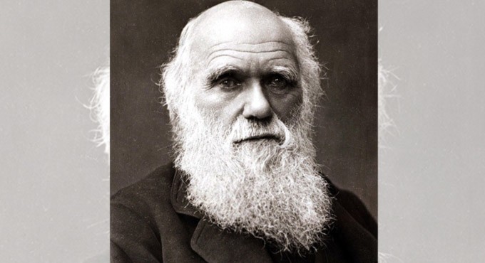Darwin got sexual selection backwards, research suggests
