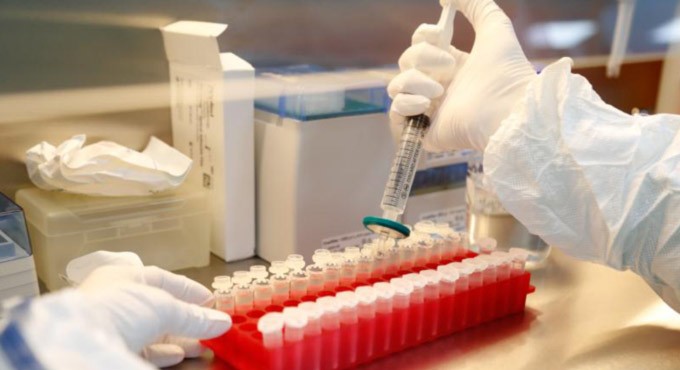 Replace calf serum with animal-free method for Covaxin production: PETA to DCGI