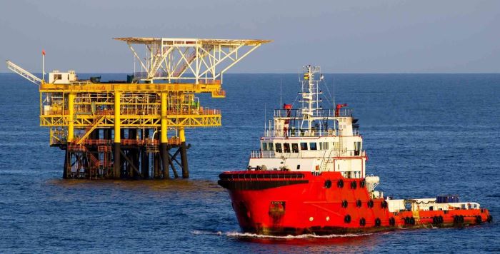 IDBI Bank secures $239 mn debt judgement in UK