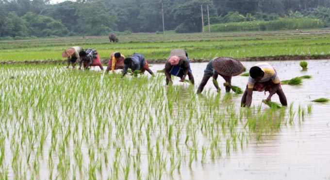 Digital survey of farm lands in Telangana from June 11 on pilot basis