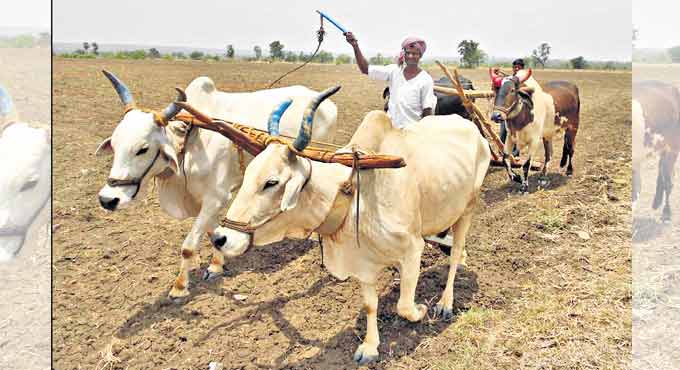 2.81 lakh more farmers