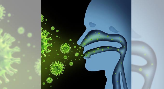 How our immune cells can be trained to fight infections