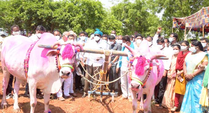 Green manure seeds distributed to farmers in Khammam