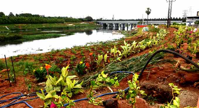 Hyderabad's Musi river