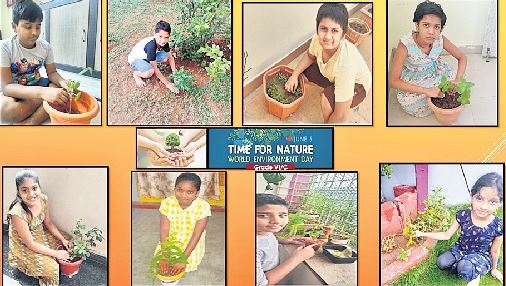 Pallavi Aware International School: Doing their bit to save nature