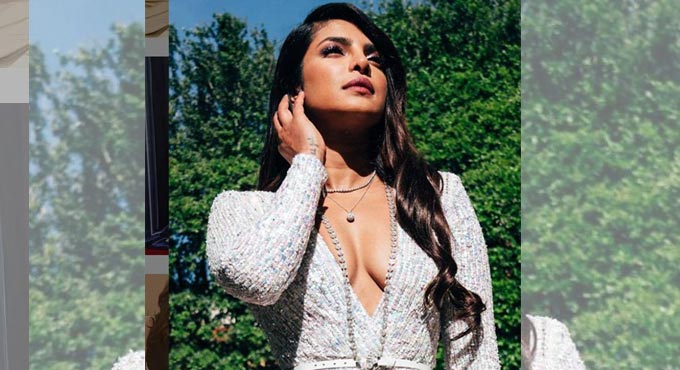 Priyanka Chopra celebrates Pride Month with new social media post