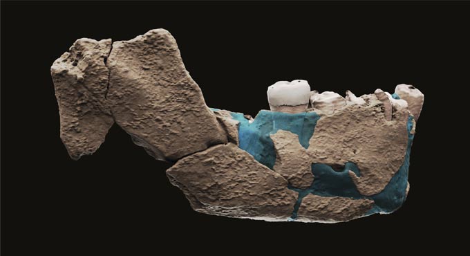 ancient human