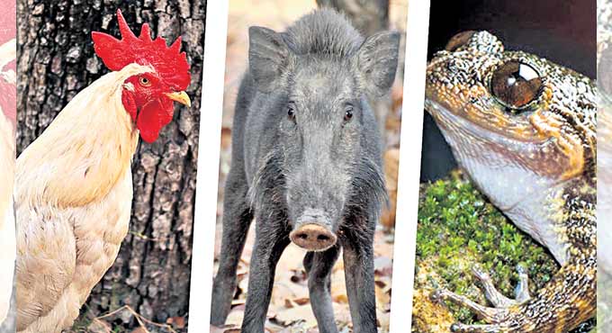 Call to shun 'speciesism'
