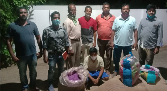 Man booked for trying to sell spurious cotton seeds in Asifabad