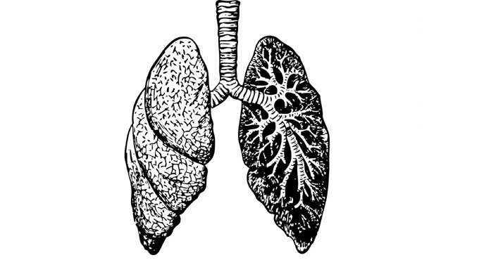Study discovers compounds that protect lung cells, may block COVID
