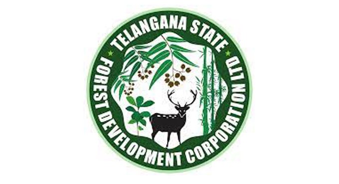 TSFDC focuses on increasing revenue, to plant commercial varieties of trees