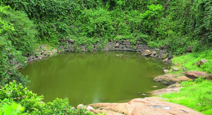 Groundwater level in Telangana rises by three meters