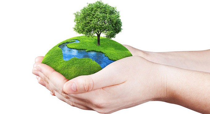 World Environment Day 2021: Theme, history and significance