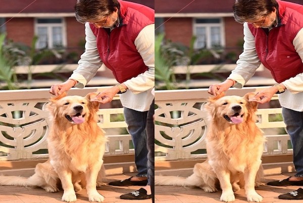 Big B shares picture posing with his ‘co-star’