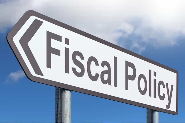Strong fiscal policy support needed to kick start growth: EY India