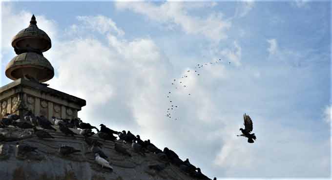 IMD downgrades rain alert for Telangana