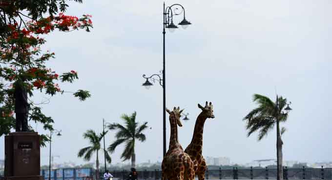 With no rains, mercury on steady rise in Hyderabad