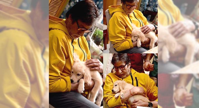 Amitabh shares adorable pictures cuddling his new on-set companion