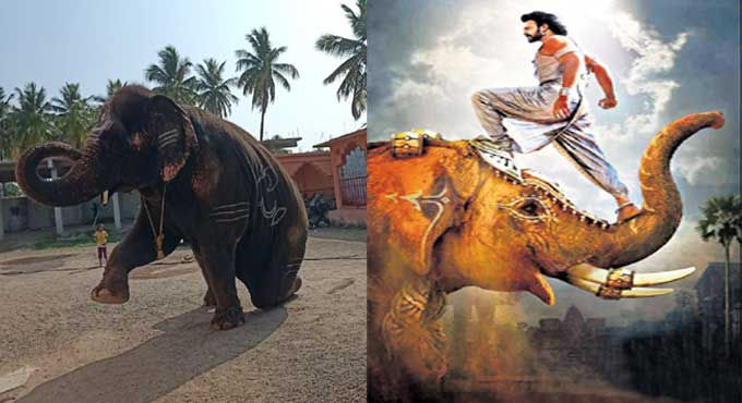 'Baahubali' touch