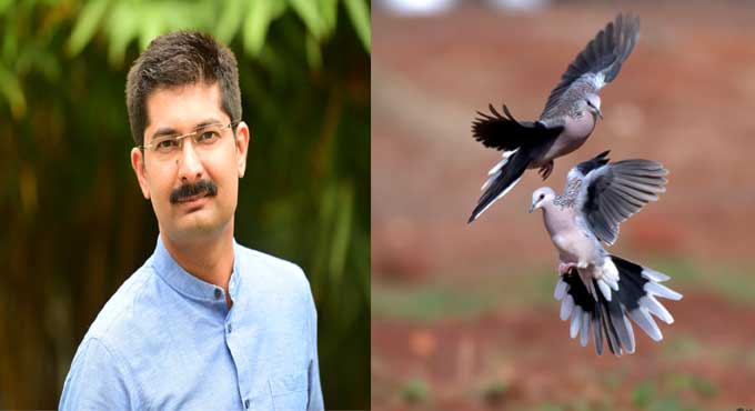 Bird photography