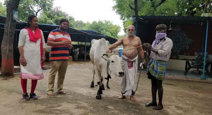 Chilkur Balaji Temple gifts cow to farmer