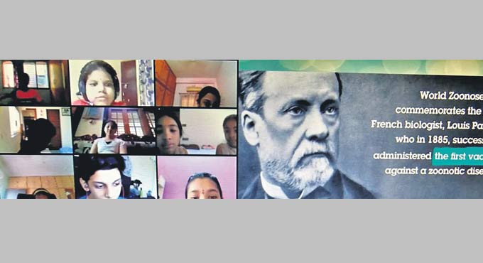 Vaccination of pets equally important