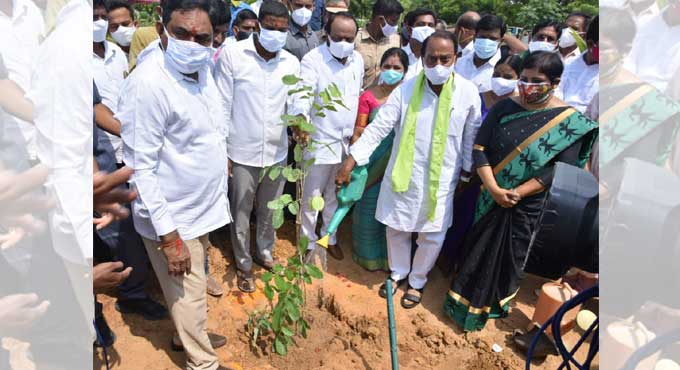 Natural parks become destinations of peace: Dayakar Rao