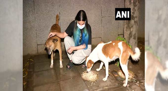 Delhi HC’s order of right to food for dogs an achievement for animal lovers