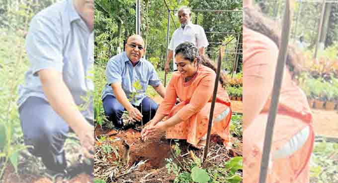 Senior surgeon takes up Green India Challenge