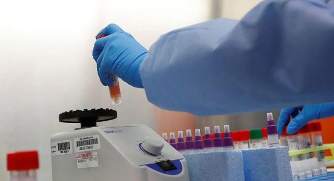 Evidence points to natural origin of Covid, not lab-leak: Scientists