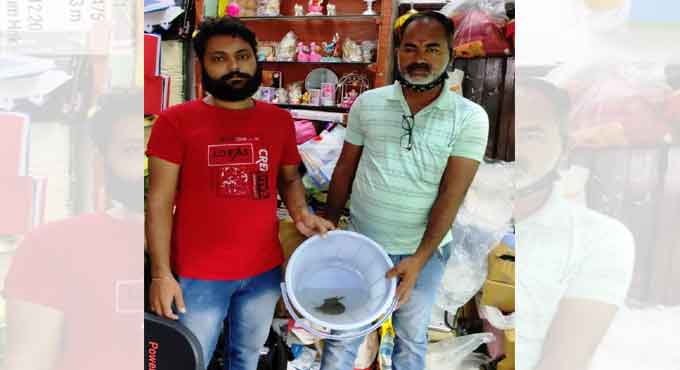 Warangal: Forest officials raid shops, seize star tortoise, softshell turtles