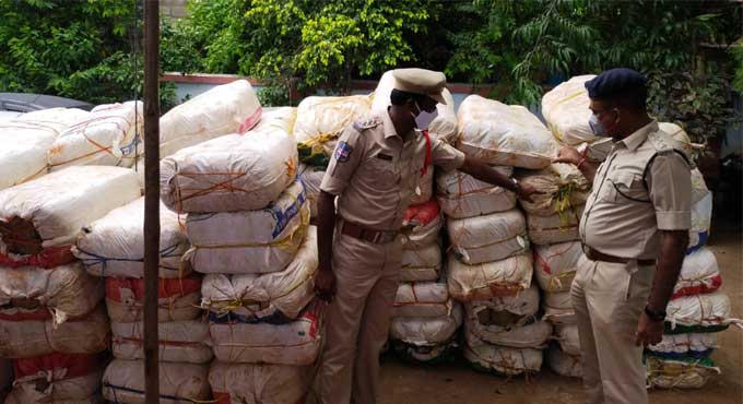 36.5 quintals ganja worth Rs 7.30 crore seized in Kothagudem