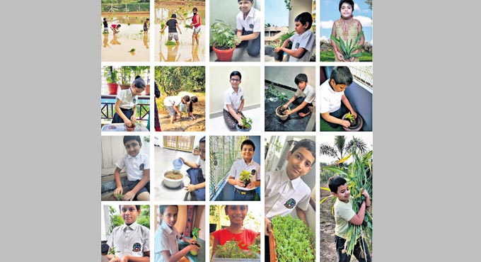 Pallavi Model School: Green drive enthuses energy