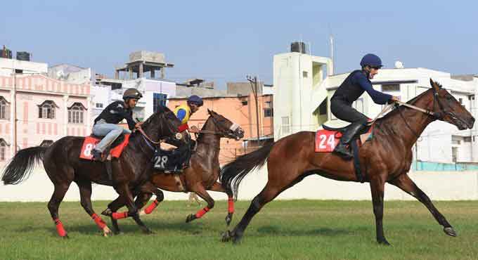 Horse Racing: Mirana, Campania shine in morning trials