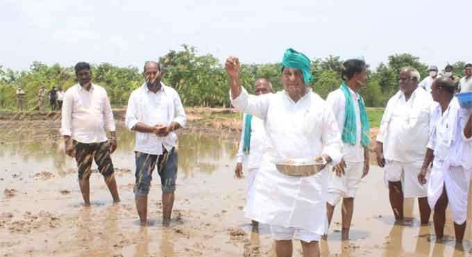 Use traditional means to grow paddy crop: Indrakaran Reddy