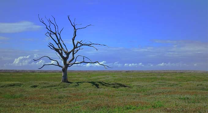 Just 25 mega-cities emit 52% of world’s urban greenhouse gas