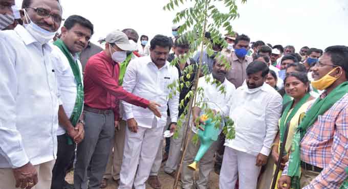 Mukkoti Vruksharchana: 60,000 saplings planted in Nalgonda