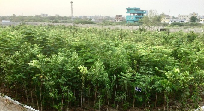 Watch: A mini forest inside Karimnagar Police training centre