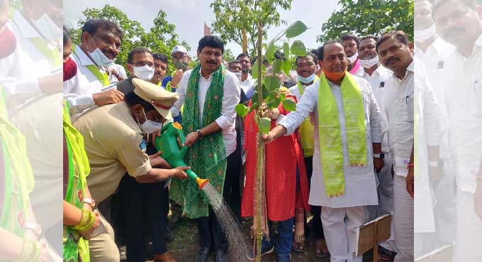 Million saplings plantation record in Telangana