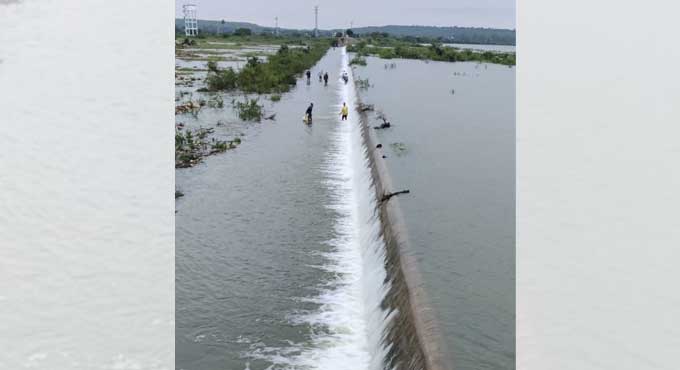 Telangana: Nallavagu Project overflowing in Sangareddy