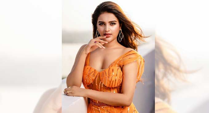 Nidhhi Agerwal: I would love to see a Hindi remake of ‘iSmart Shankar’