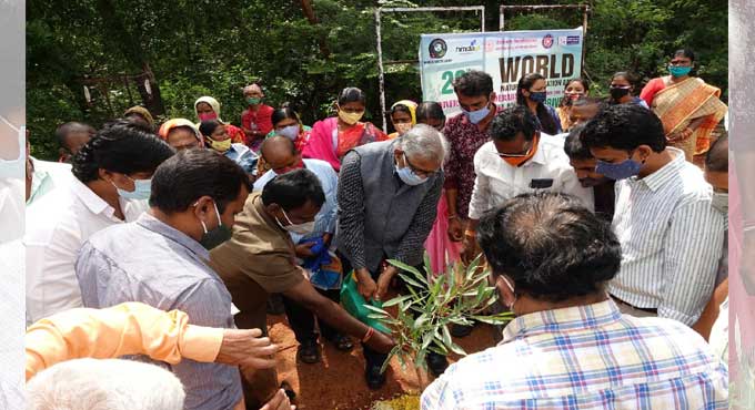 Mega plantation drive at University of Hyderabad