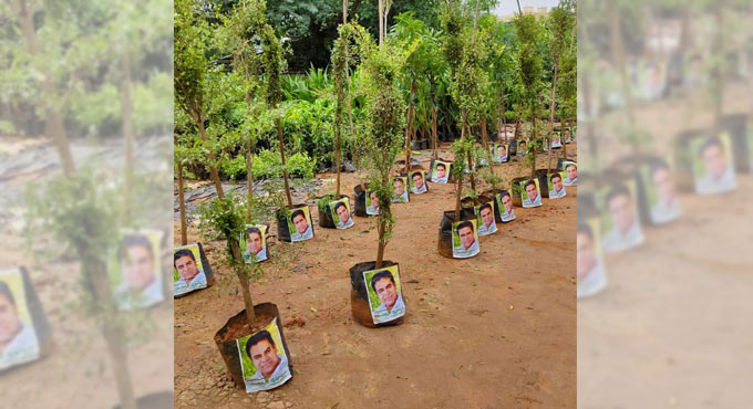 Planting of 3.3 crore saplings begins in Telangana