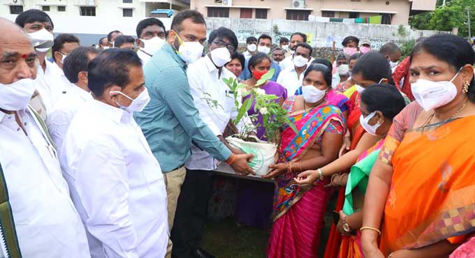 30 crore saplings planted every year in TS under Haritha Haram: Puvvada