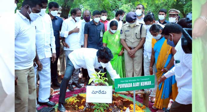 Cops take up massive plantation drive in Khammam