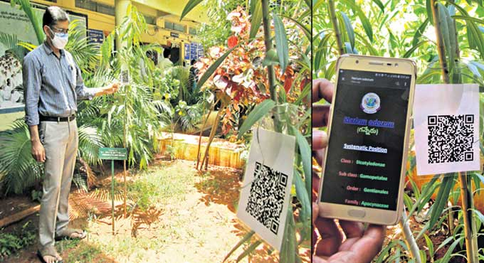 Scan QR codes for information about trees in Narsampet GDC - Telangana ...